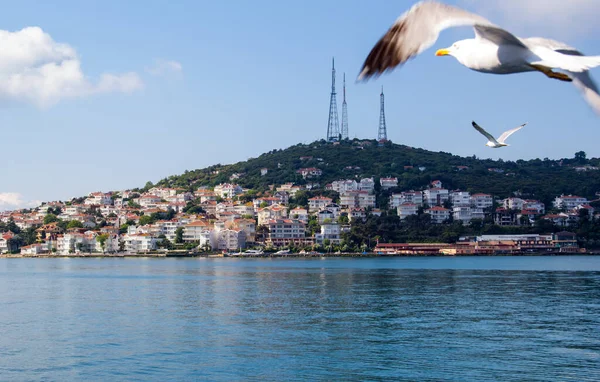 Burgazada, Burgaz Adasi, kısaca Burgaz, İstanbul yakınlarındaki Marmara Denizi 'nin en büyük üçüncü şehridir..