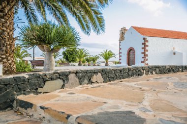 Eski ev ve ağaçla manzara