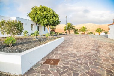 Çölde ağaçlı manzara