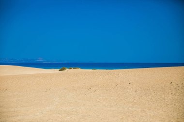 Okyanuslu kum tepeleri