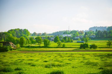 Ağaçlar ve otlarla manzara