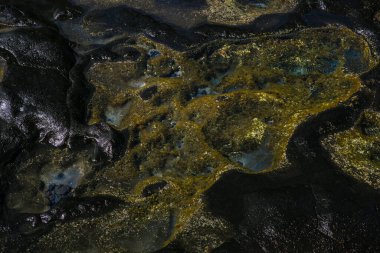 Okyanus taşları ve kayalar