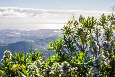 Ağaçlarla, gökyüzüyle ve bulutlarla manzara
