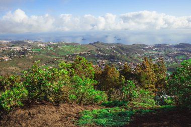 Ağaçlarla, gökyüzüyle ve bulutlarla manzara