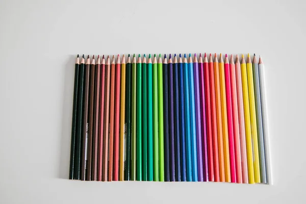 Different Pencils Different Colors — Stock Photo, Image