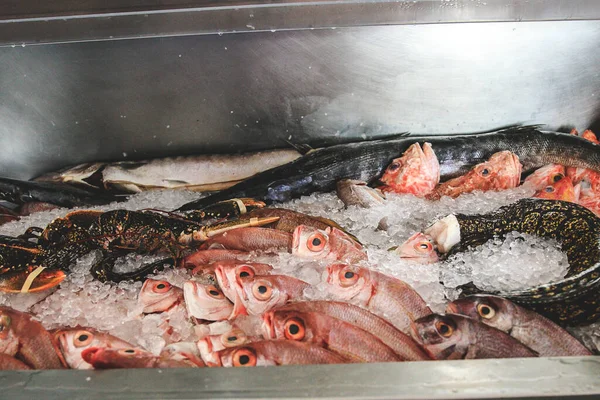 İspanyol restoranında taze balık.