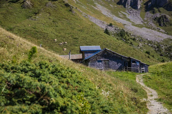Blick Auf Die Schweizer Alpen Mit Bergen Und Bäumen — Stockfoto