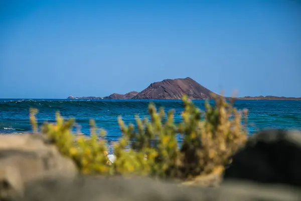 Okyanus, kaya ve gökyüzü manzaralı sahil kenarı