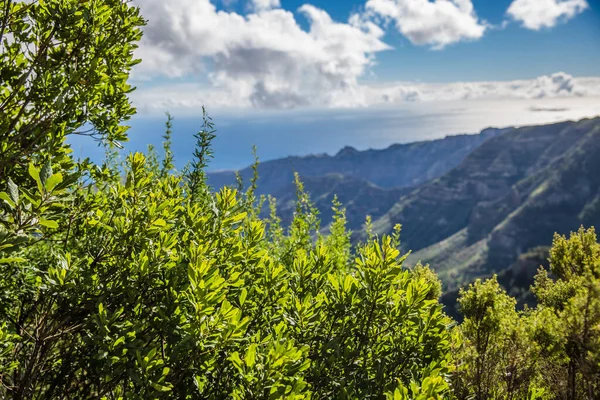 Dağların gökyüzü bulutlarıyla manzara 