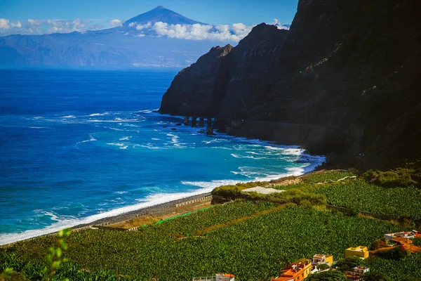 Ağaçlarla, gökyüzüyle, bulutlarla deniz ve plajla manzara