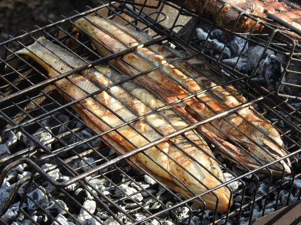 Grilled mackerel fish on barbecue grate