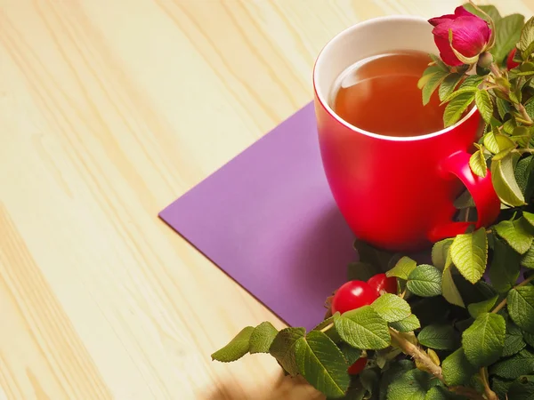Red cup of hot tea with leaves and rose hips — Stock Photo, Image