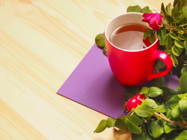 Taza roja de té caliente con hojas y rosa mosqueta — Foto de Stock