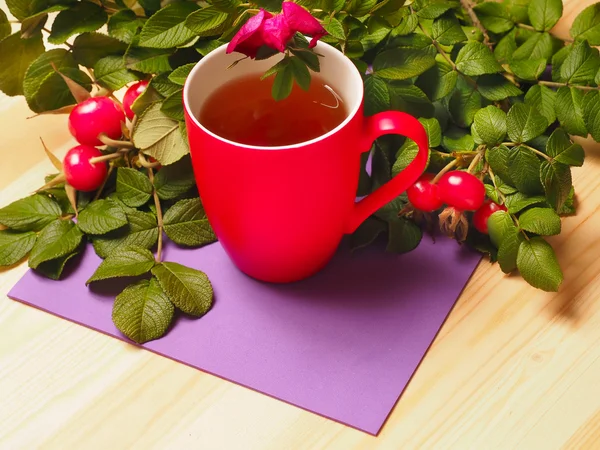 Taza roja de té caliente con hojas y rosa mosqueta — Foto de Stock