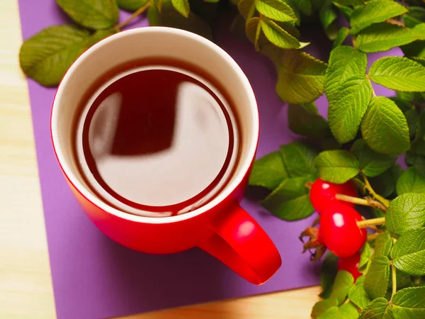Taza roja de té caliente con hojas y rosa mosqueta — Foto de Stock