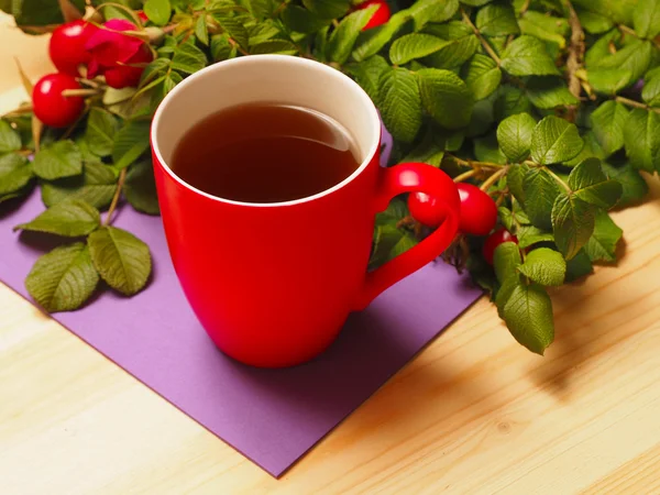 熱いお茶の葉とローズヒップの赤カップ — ストック写真