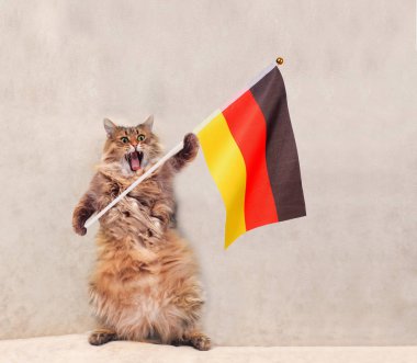 Büyük tüylü kedi çok komik standing.flag