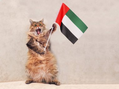 Büyük tüylü kedi çok komik standing.flag