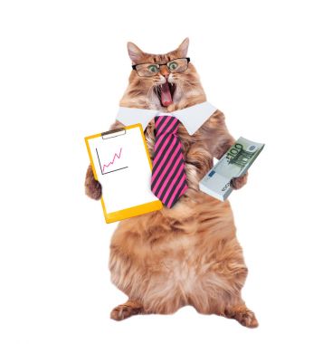 Gözlüklü ve kravatlı komik kedi. Finansör kavramı