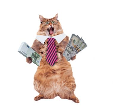 Gözlüklü ve kravatlı komik kedi. Finansör kavramı