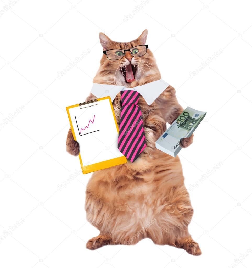 funny cat with glasses and tie. the concept of financier