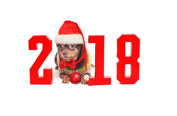 The dog is a symbol of 2018 year and numbers — Stock Photo, Image