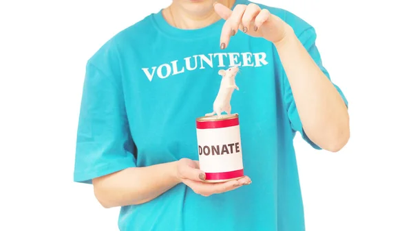 身穿蓝色T恤 上面有白字题词的女性志愿者可以参加捐赠 在白色背景下被隔离 自愿免费援助 慈善恩典工作概念 — 图库照片