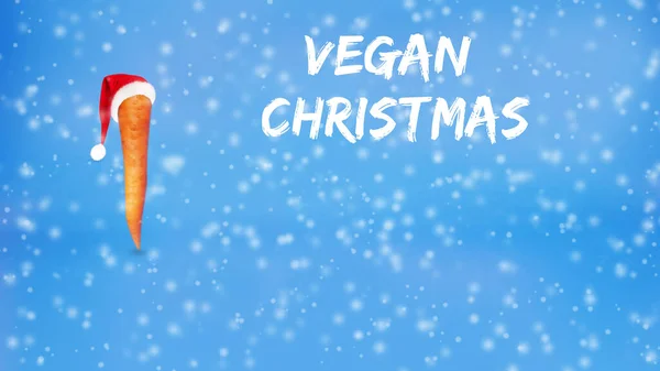 Veganistisch Kerstconcept Sneeuwachtergrond Concept — Stockfoto