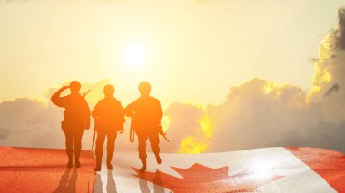 Haşhaş günü için tebrik kartı, Anma Günü. Kanada kutlaması. Konsept - vatanseverlik, onur. 3B illüstrasyon