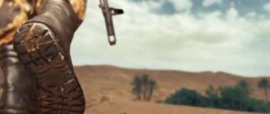 Orta Doğu 'nun çölünde bir aygır. Kavram - BAE, İsrail, Mısır silahlı kuvvetleri