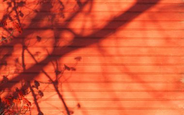 Kırsal renk ahşap dokusu arkaplanı.