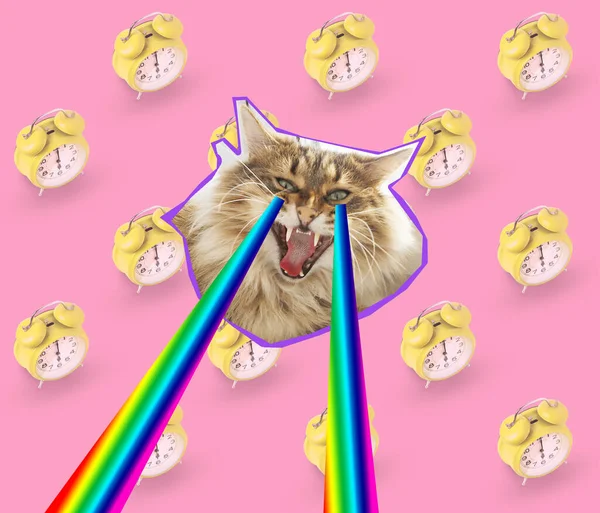 Kedi Çalar Saat Kolajı Pop Sanat Konsepti Tasarımı Zine Kültür — Stok fotoğraf