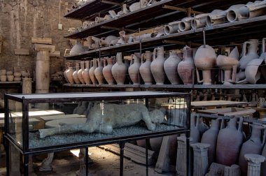 Taşlaşmış insanlar ve arkeolojik kalıntılar, Pompeia