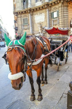 Palermo 'nun Dört Köşesinde Arabalı At
