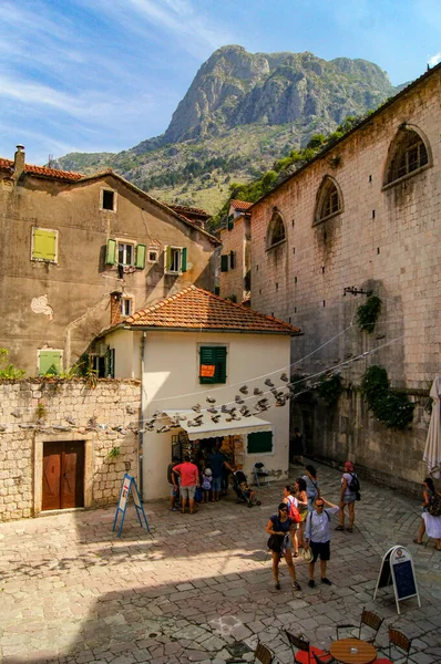 Descubriendo Las Esquinas Kotor — Foto de Stock