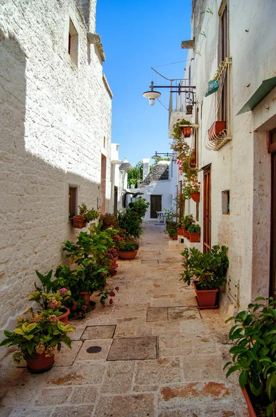 Blumen Den Straßen Von Alberobello — Stockfoto