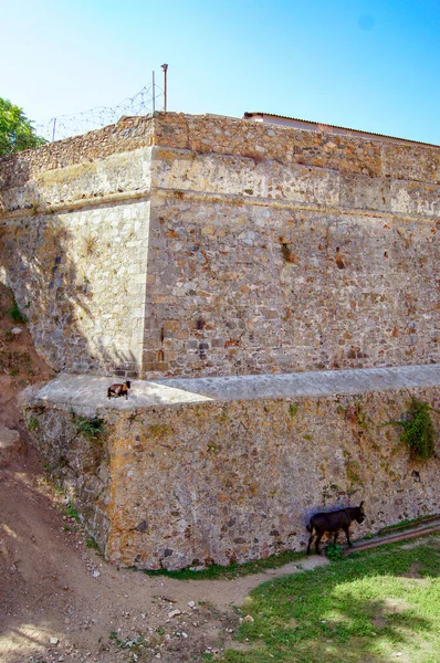 Wojskowy Mur Obronny Ajaccio — Zdjęcie stockowe