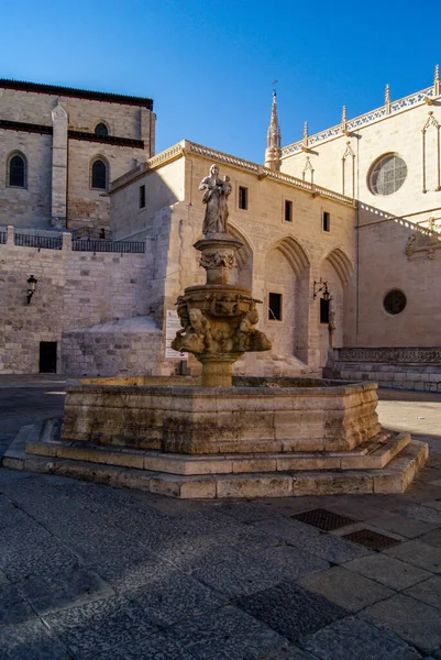 Fonte Praça Catedral Burgos — Fotografia de Stock