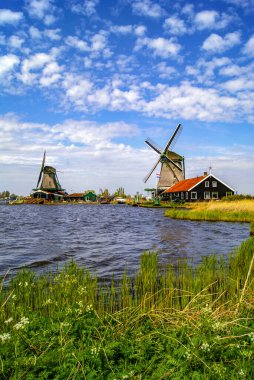 Zaanse schans değirmenlerinin manzarası