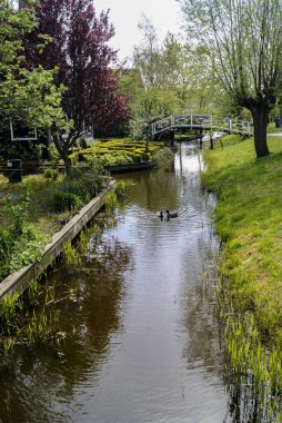 Zaanse tarlalarında kanal ve köprü manzarası