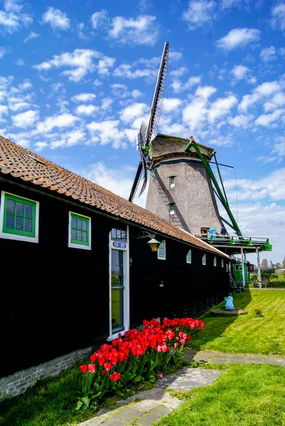 Zicht Zaanse Schans Molens — Stockfoto