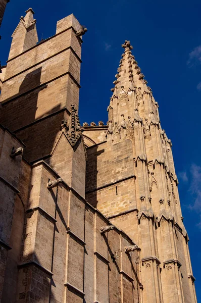 Cathedral Bell Tower Palma Mallorca — Stock Photo, Image