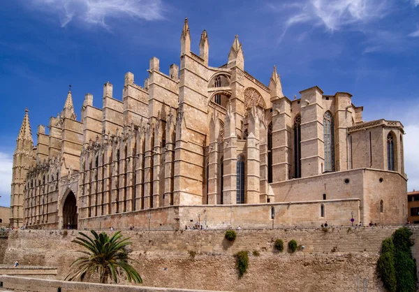 Vistas Catedral Palma Mallorca — Foto de Stock