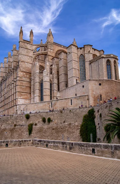 Blick Auf Die Kathedrale Von Palma Mallorca — Stockfoto