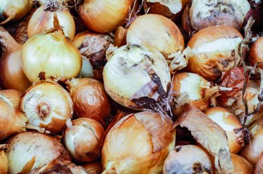 Blanes meyve ve sebze pazarında kara soğan