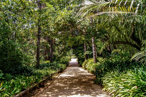 Blanes botanik bahçesinin köşelerini keşfetmek