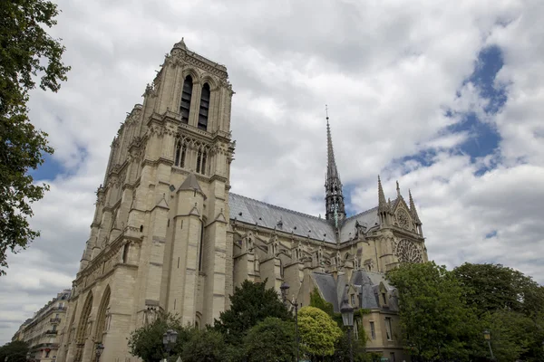 Vista inferior de Notre Dame de Paris, rodeada de árboles —  Fotos de Stock