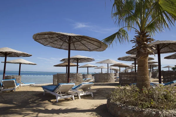 Playa egipcia con sombrillas de caña y caballetes de madera en la espalda — Foto de Stock