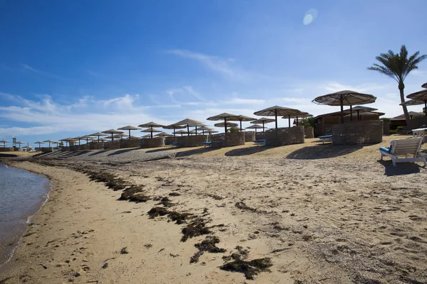 Issız bir kumsal beyaz şezlong ve plaj şemsiye dokuma f