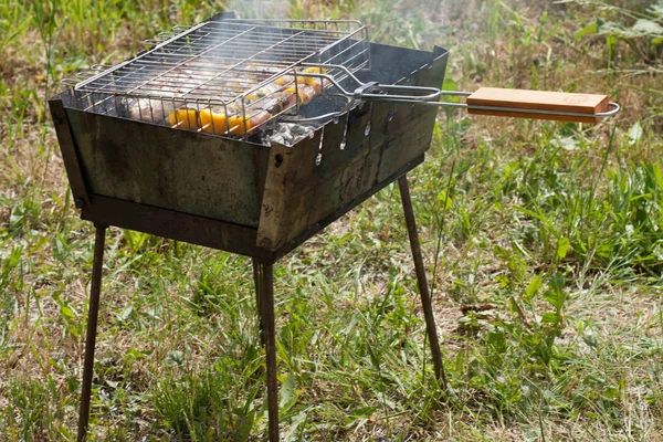 Fish with vegetables baked in a lattice for a grill in an iron b — Stock Photo, Image